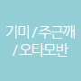 기미/주근깨/오타모반