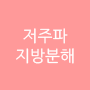 저주파지방분해