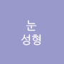 눈성형
