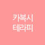카복시테라피