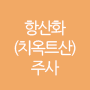 신데렐라 주사