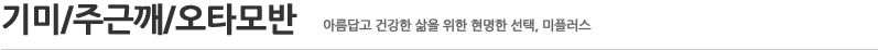 기미/주근깨/오타모반