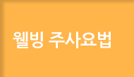 웰빙주사요법